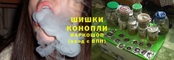 ешки Арсеньев