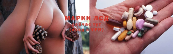 ешки Арсеньев