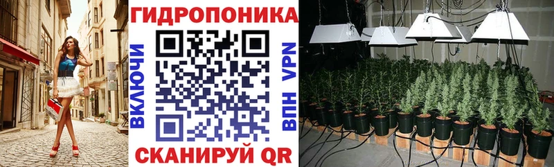 МАРИХУАНА планчик Таштагол